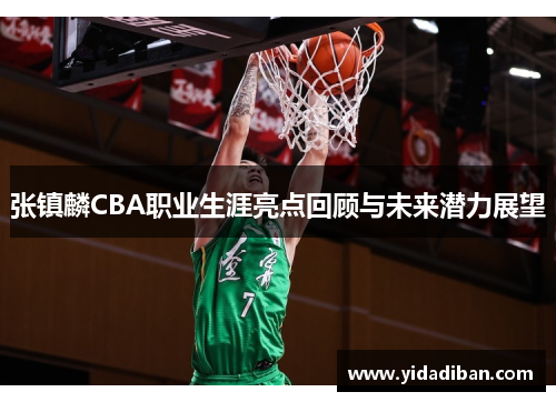 张镇麟CBA职业生涯亮点回顾与未来潜力展望