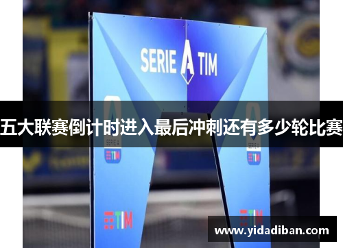 五大联赛倒计时进入最后冲刺还有多少轮比赛