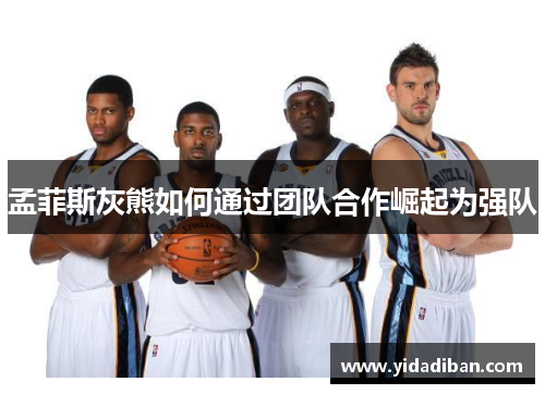 孟菲斯灰熊如何通过团队合作崛起为强队